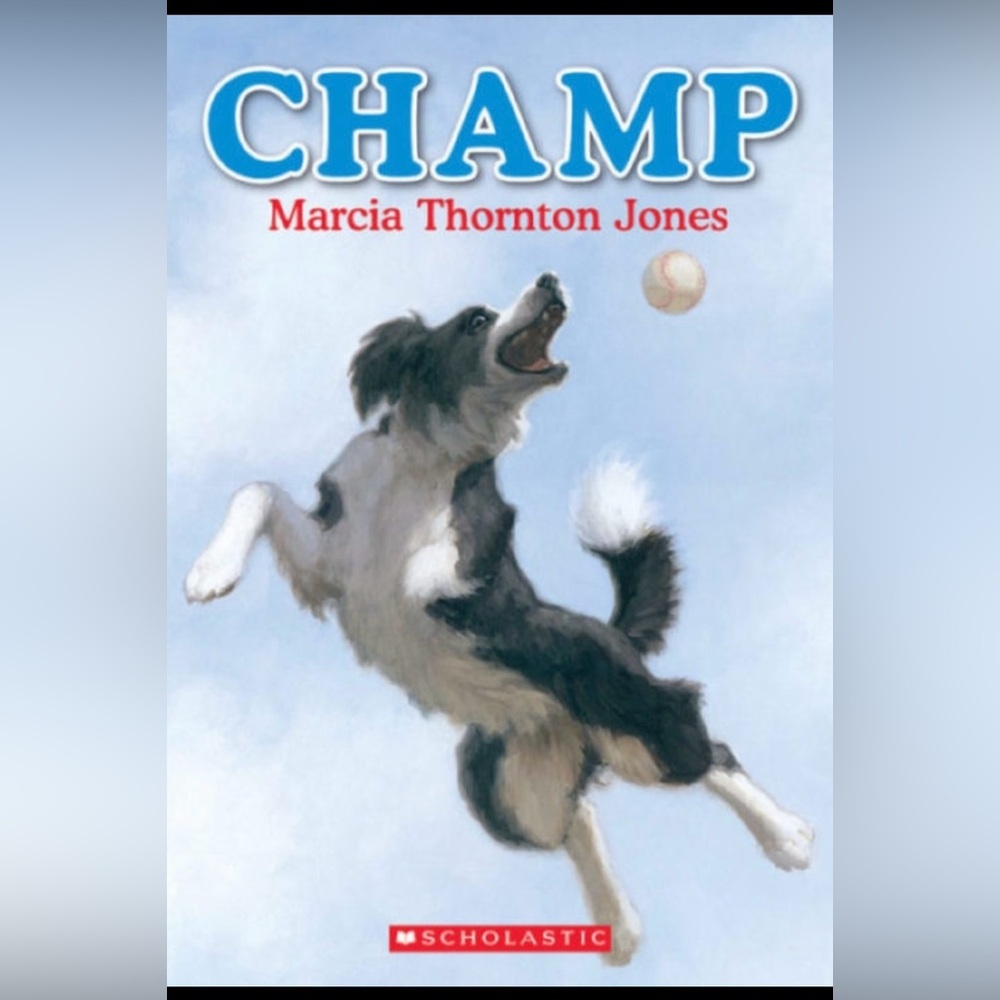 $2 Scholastic 'Champ' Dog Game - $2 With Any $10 Order or More